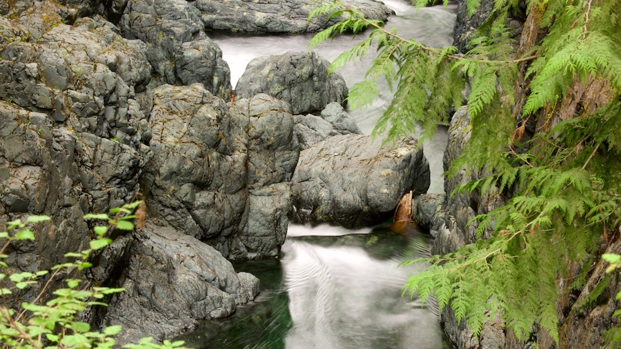 Công viên tỉnh Englishman River Falls cho thấy sông lạch