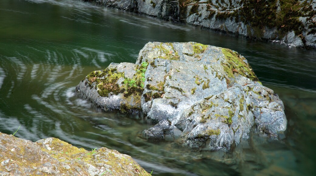 Englishman River Falls Provincial Park mostrando fiume o ruscello