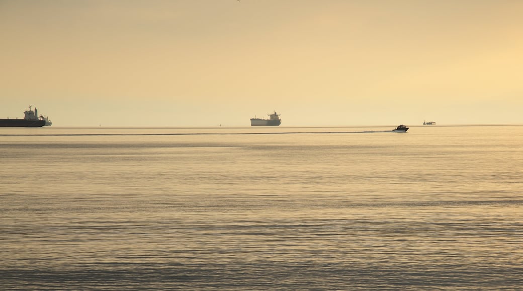 Ambleside Park showing a sunset, general coastal views and boating