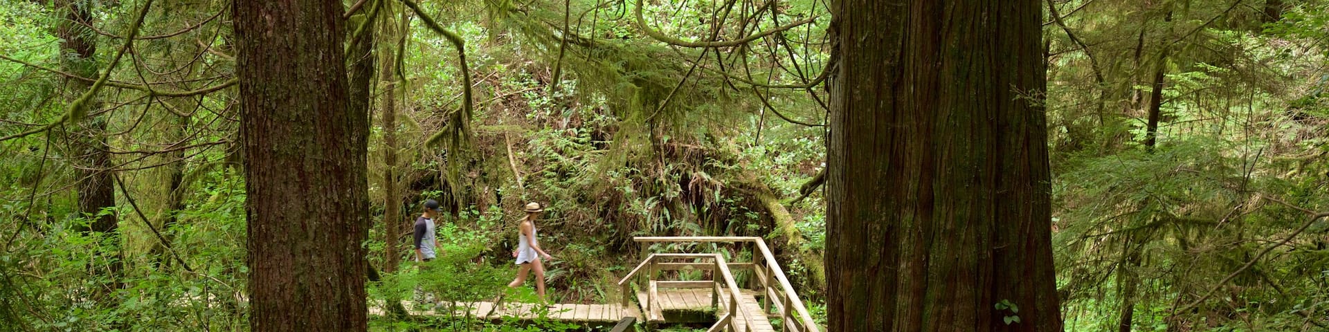 Schooner Cove Trailhead which includes forests and a bridge