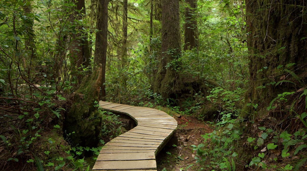 Schooner Cove Trailhead featuring a bridge and forest scenes