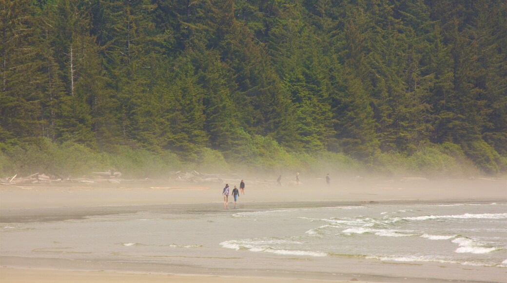 Schooner Cove Trailhead featuring a beach and general coastal views