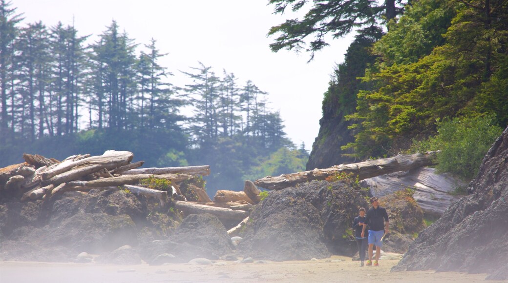 Schooner Cove Trailhead which includes general coastal views as well as a couple