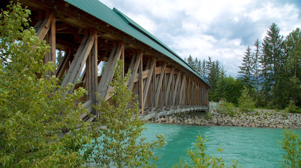 Kicking Horse Pedestrian Bridge caratteristiche di fiume o ruscello e ponte