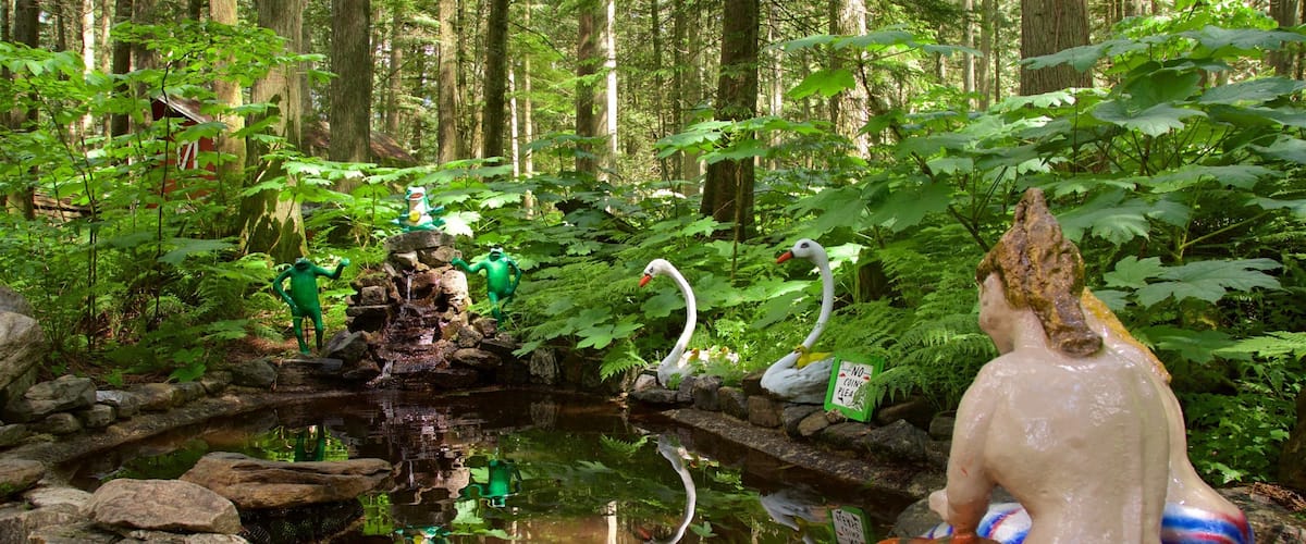 Enchanted Forest featuring forest scenes, a pond and a statue or sculpture