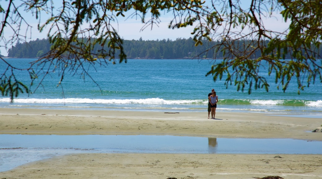 Tonquin Park which includes waves, general coastal views and a beach