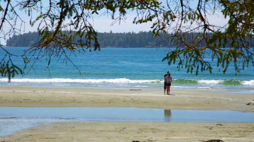 Tonquin Park showing surf, general coastal views and a sandy beach