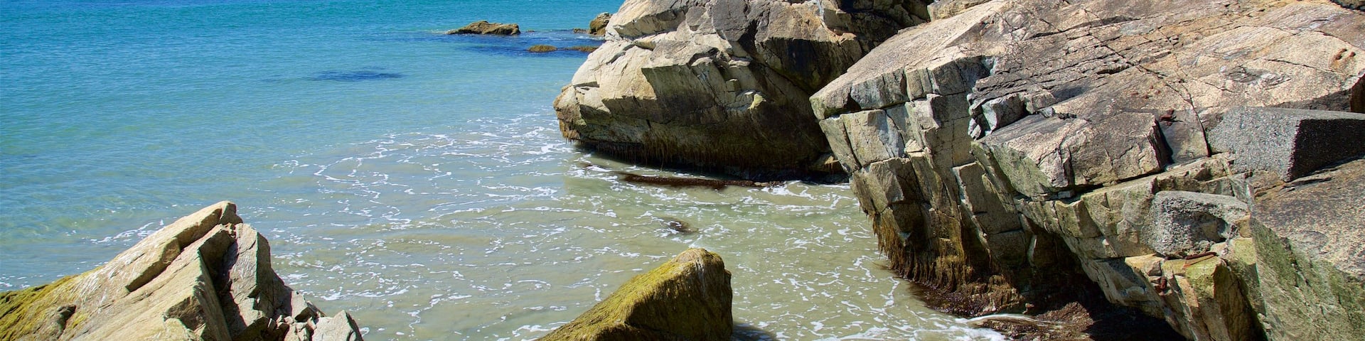 Tonquin Park featuring rocky coastline and general coastal views