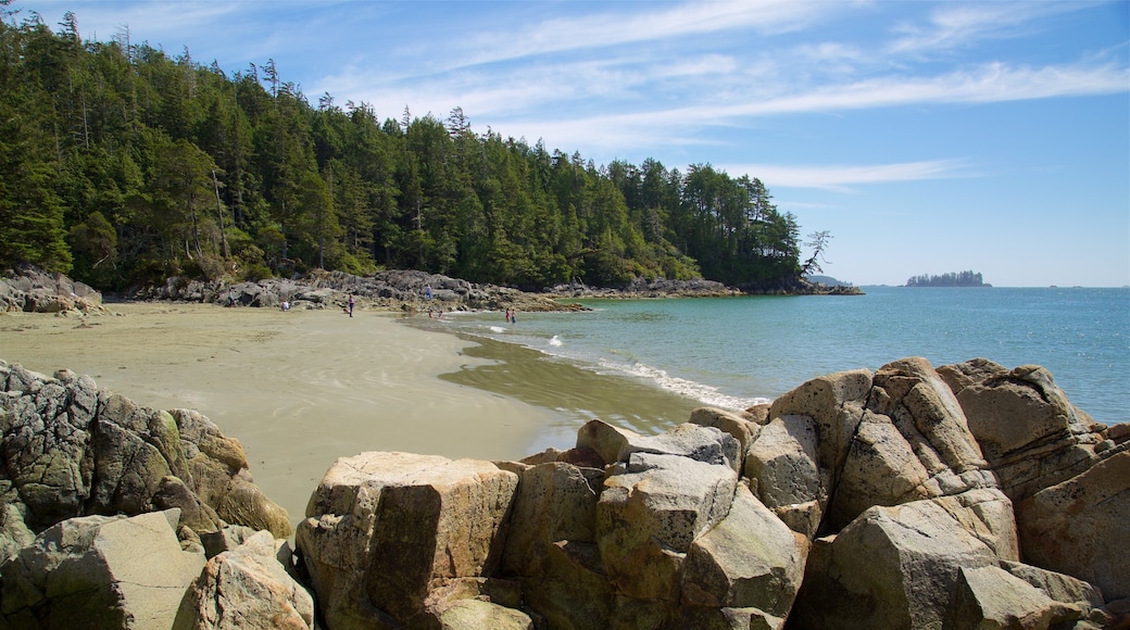 Tonquin Park mostrando una playa de arena, costa rocosa y vistas generales de la costa