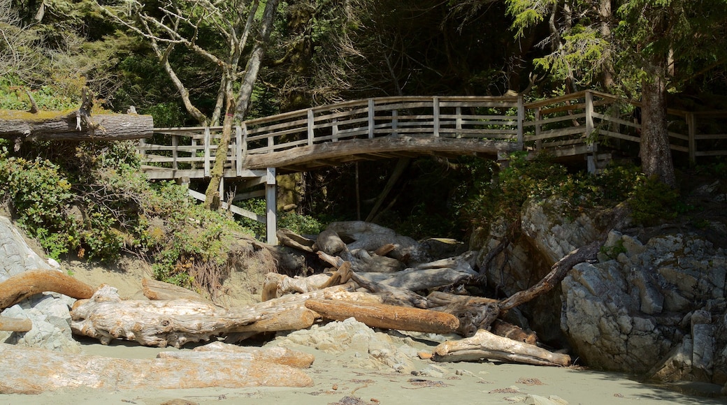 Tonquin Park which includes a bridge and a beach