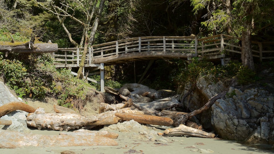Tonquin Park showing a sandy beach and a bridge