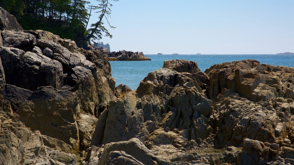 Tonquin Park which includes general coastal views and rocky coastline