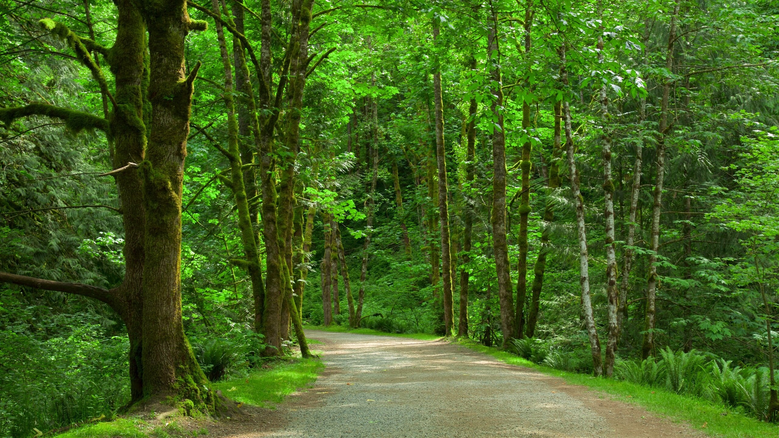 Hope, BC, CA Vacation Rentals villa rentals & more Vrbo