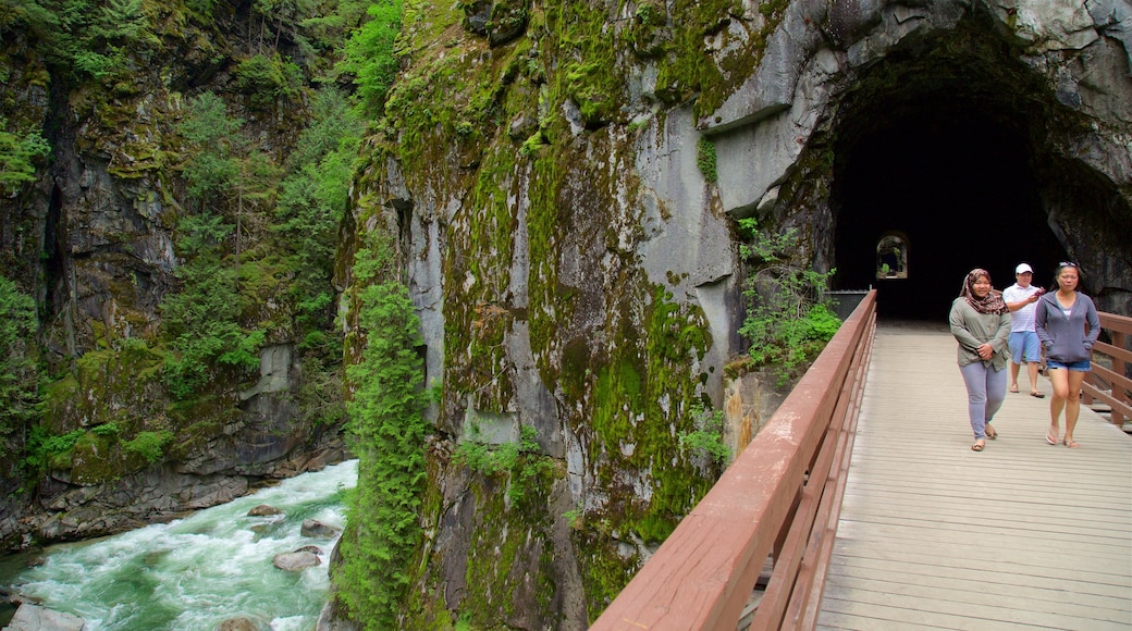 CĂŽte de Vancouver qui includes pont, rapides et grottes