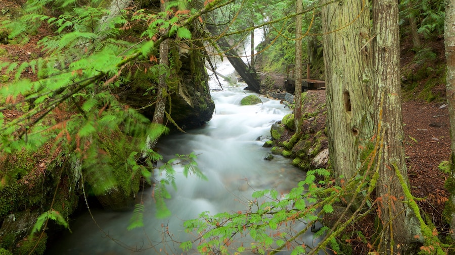 Fletcher Falls