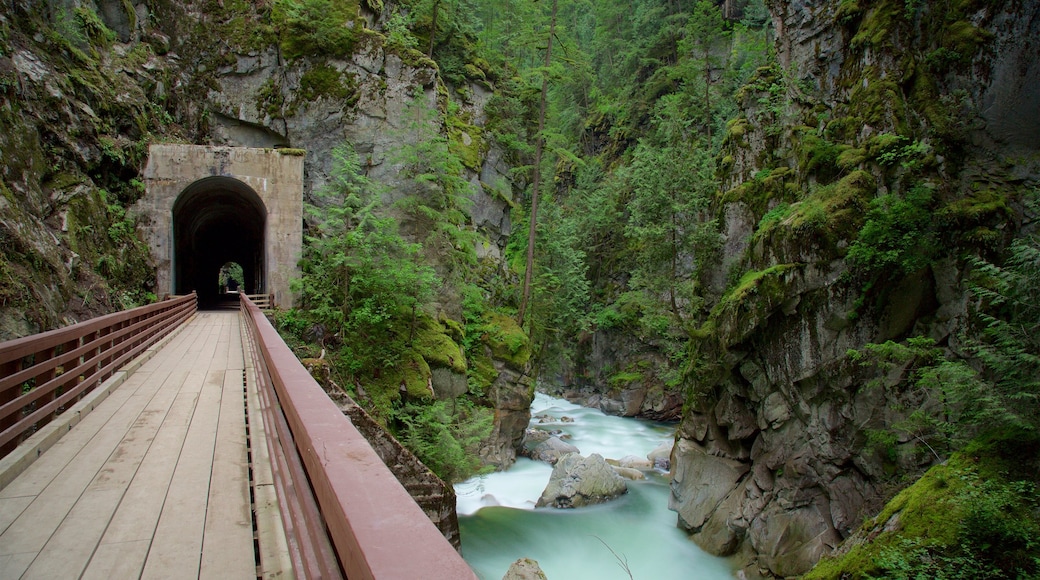 Othello Tunnels showing a river or creek, a bridge and a gorge or canyon