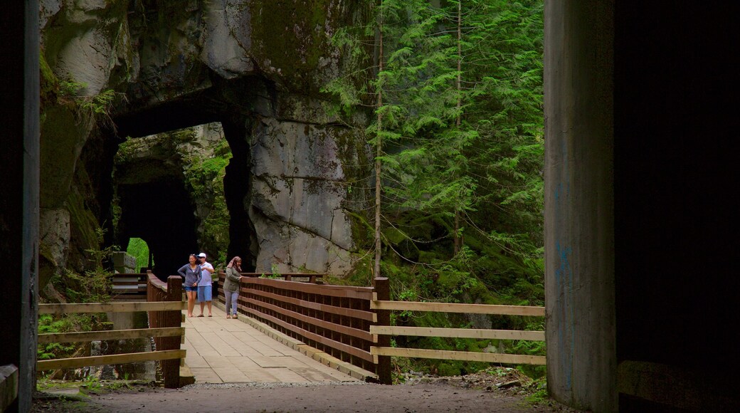 Kust van Vancouver toont een brug en bossen en ook een klein groepje mensen