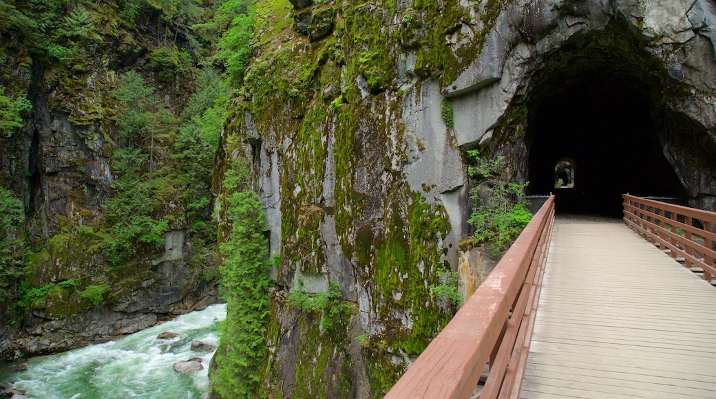 Costa de Vancouver mostrando uma ponte, córrego e um desfiladeiro ou canyon