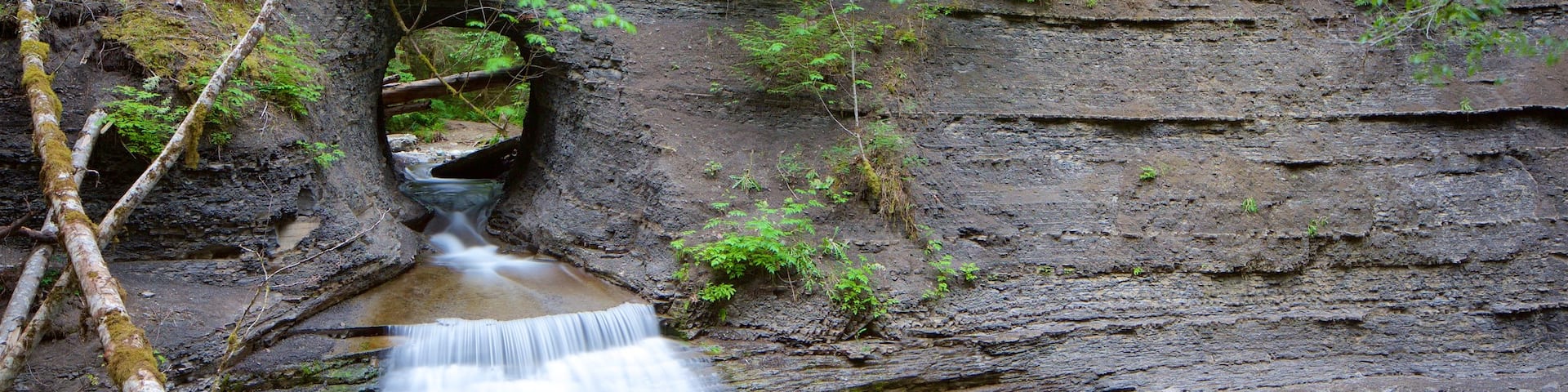 Port Alberni featuring a river or creek, forests and a waterfall