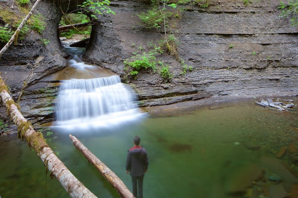 Port Alberni mostrando escenas forestales, una cascada y un río o arroyo