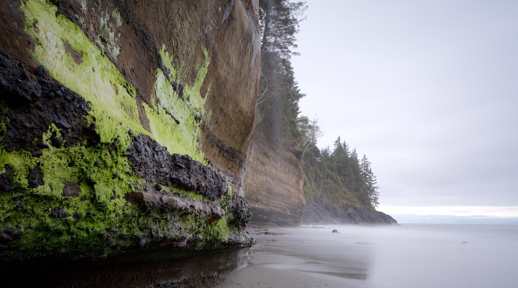 Victoria showing general coastal views, a sandy beach and rugged coastline