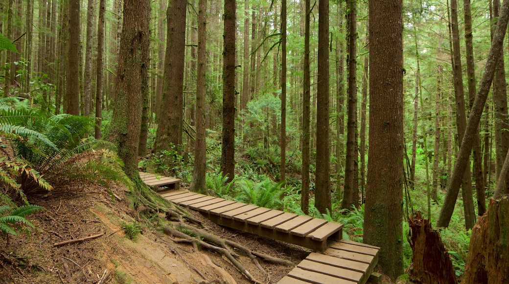 Victoria que incluye imágenes de bosques