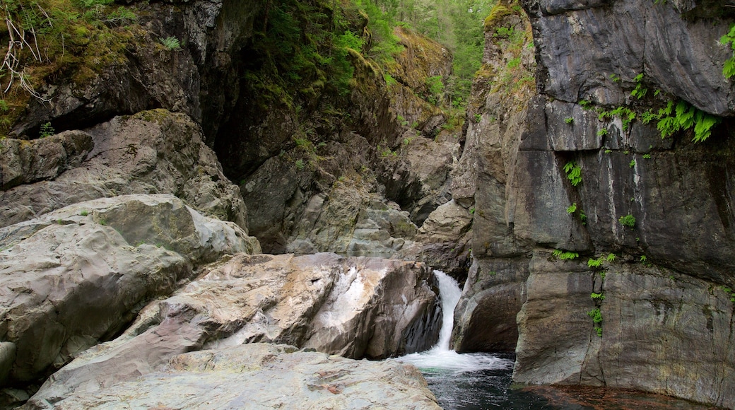 Sooke Potholes Provincial Park som inkluderar ett vattenfall