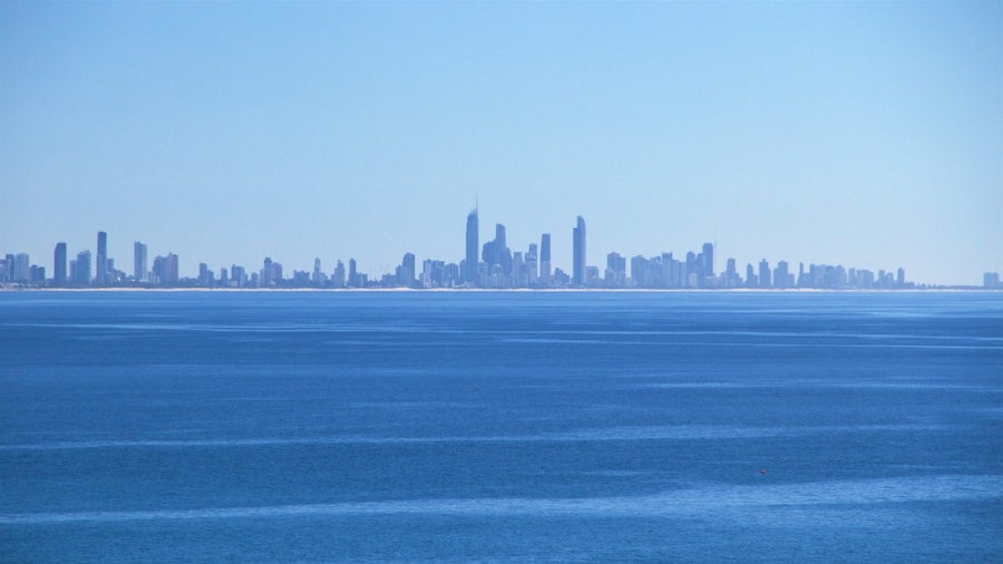Coolangatta featuring a city, waves and skyline