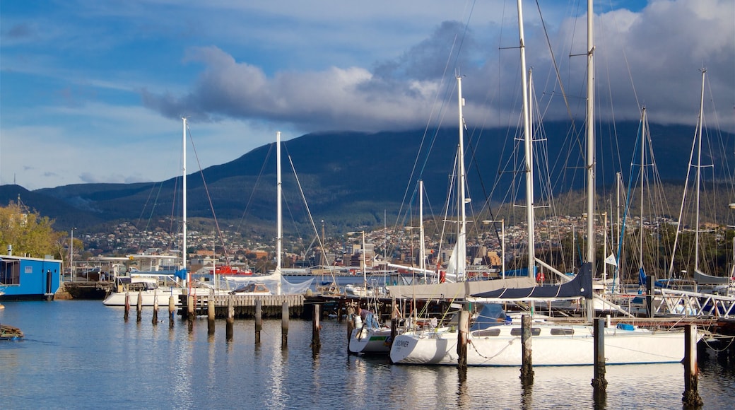 Bellerive showing tranquil scenes and a bay or harbour