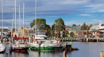 Bellerive bevat een baai of haven