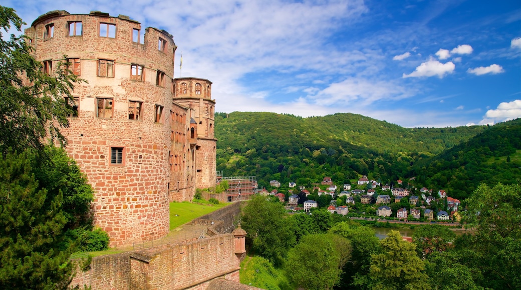Rhine - Neckar