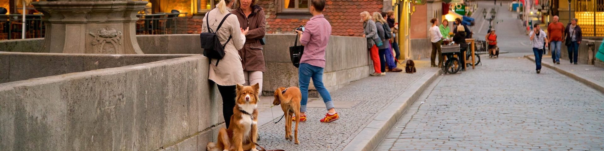 Alte Mainbruecke featuring a statue or sculpture and heritage elements as well as a small group of people