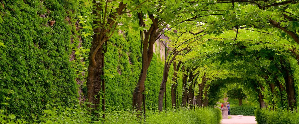 RĂ©sidence de WĂŒrzburg montrant jardin