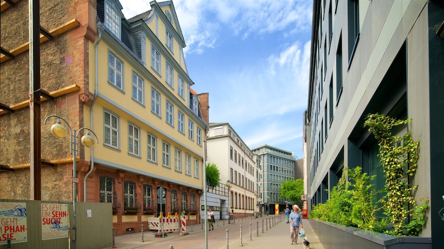 Goethe-Haus caracterizando elementos de patrimĂŽnio