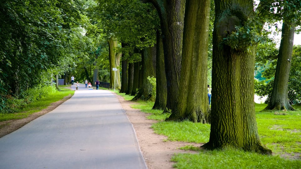 Reichsparteitagsgebäude mettant en vedette parc