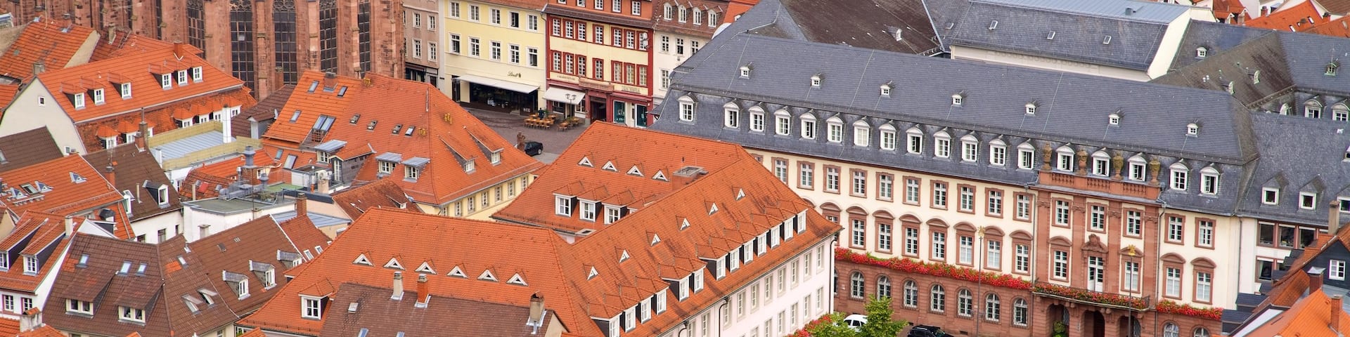 Heidelberg featuring a square or plaza and a city