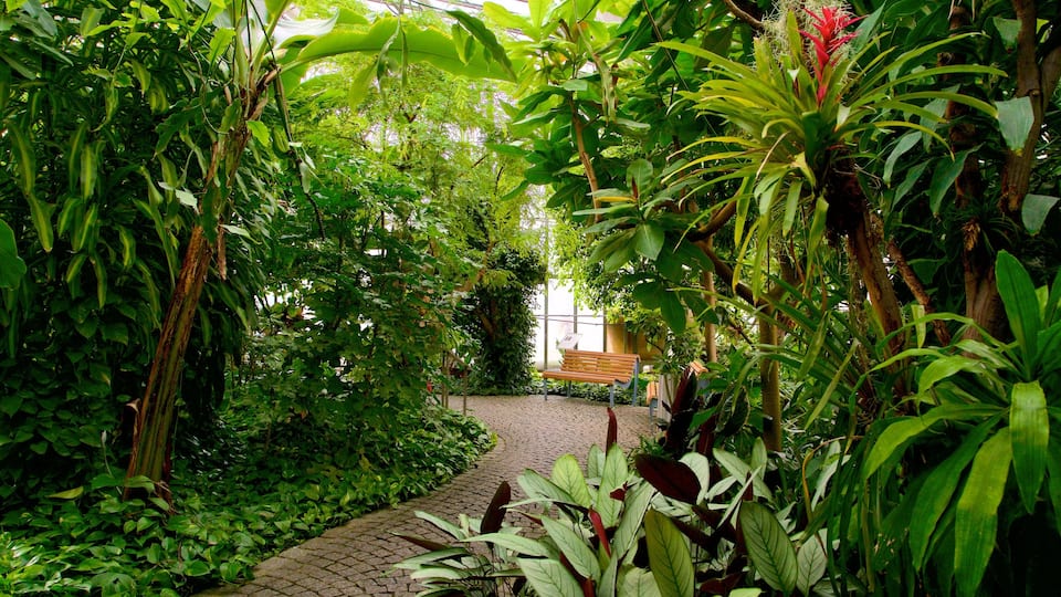 Jardines Luisenpark ofreciendo un parque
