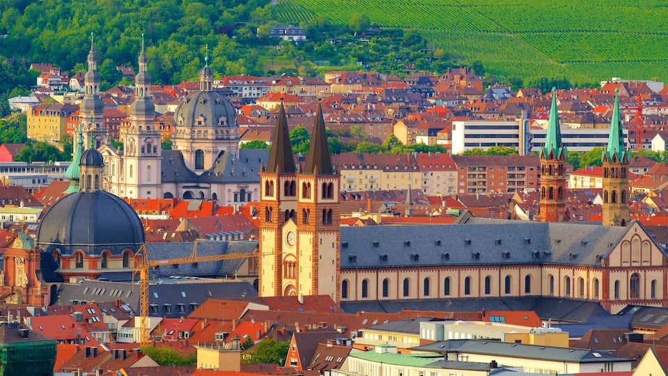 Catedral de Wurzburgo que incluye elementos del patrimonio y una ciudad
