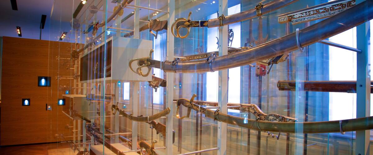 Museo de Historia que incluye vistas interiores y elementos del patrimonio