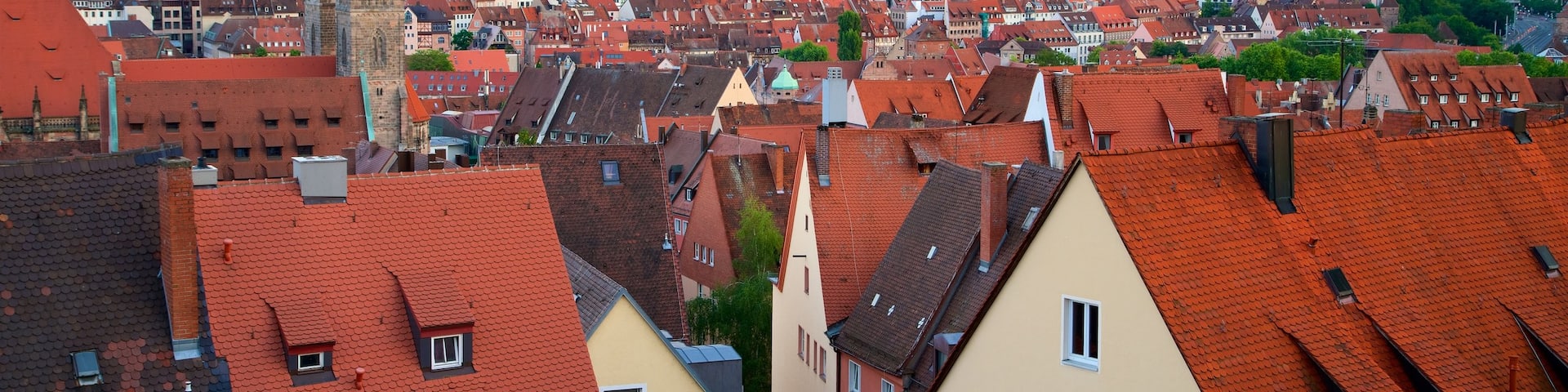 Nuremberg Castle featuring a city and heritage elements