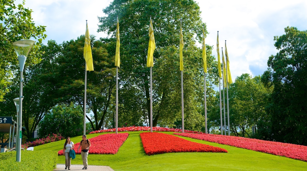 Luisenpark Gardens som viser villblomster og park i tillegg til par