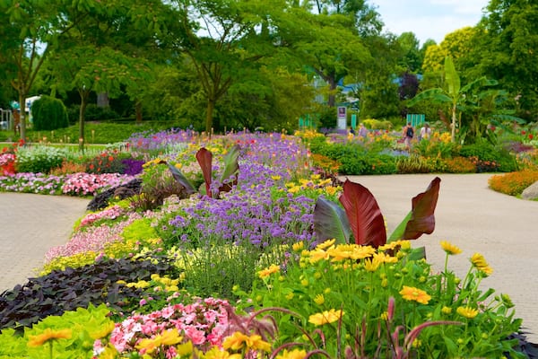 Luisenpark mit einem Park und Wildblumen