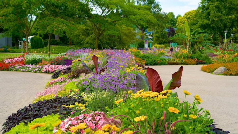 Parque Luisenpark
