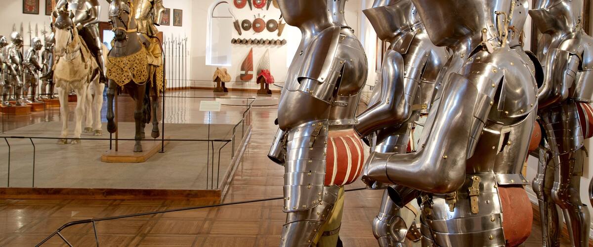 Schloss Ambras welches beinhaltet Geschichtliches und Innenansichten
