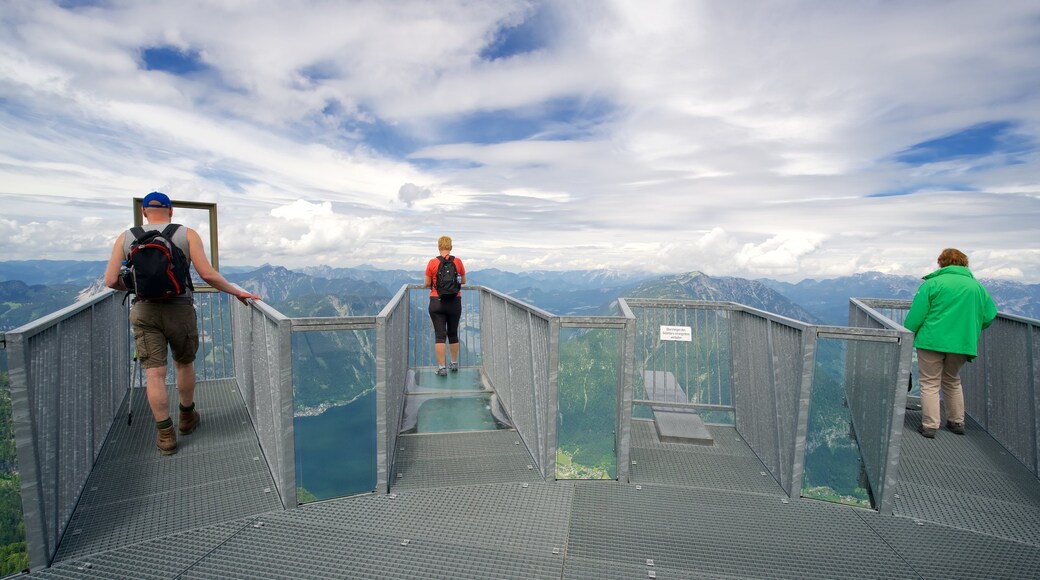 Dachstein Krippenstein showing views as well as a small group of people