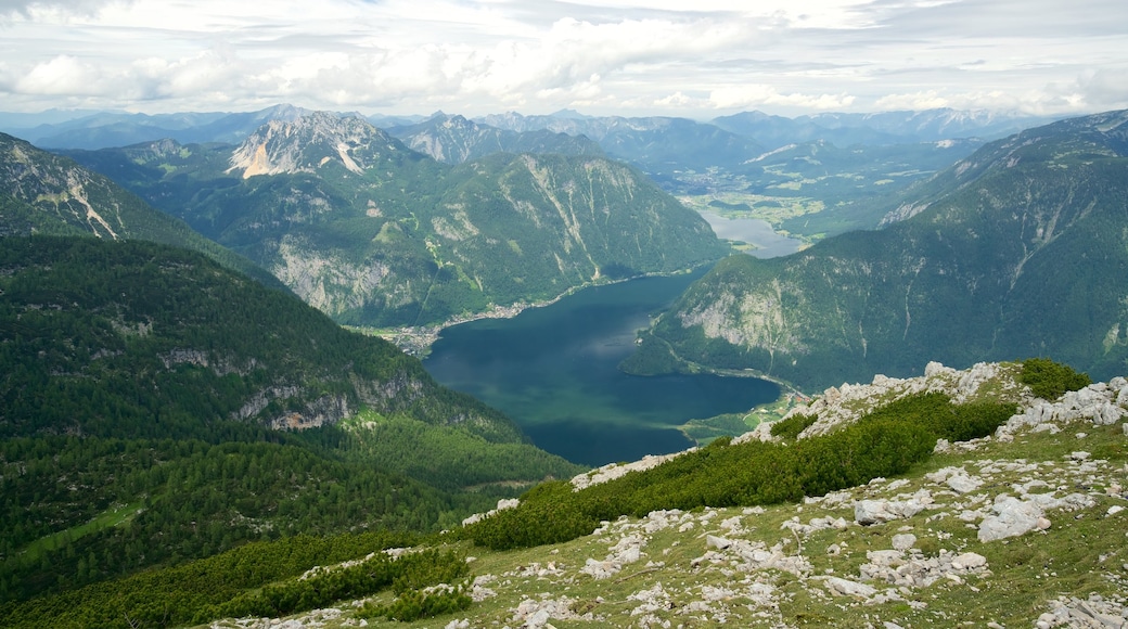 Hallstatt ofreciendo vistas de paisajes, arquitectura moderna y escenas tranquilas