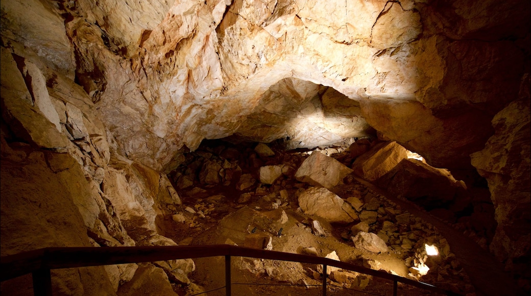 Obertraun mostrando vistas de interior y cuevas