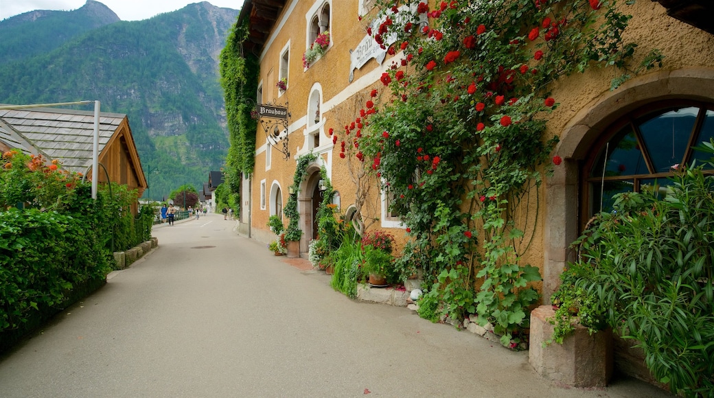 Hallstatt ofreciendo flores salvajes