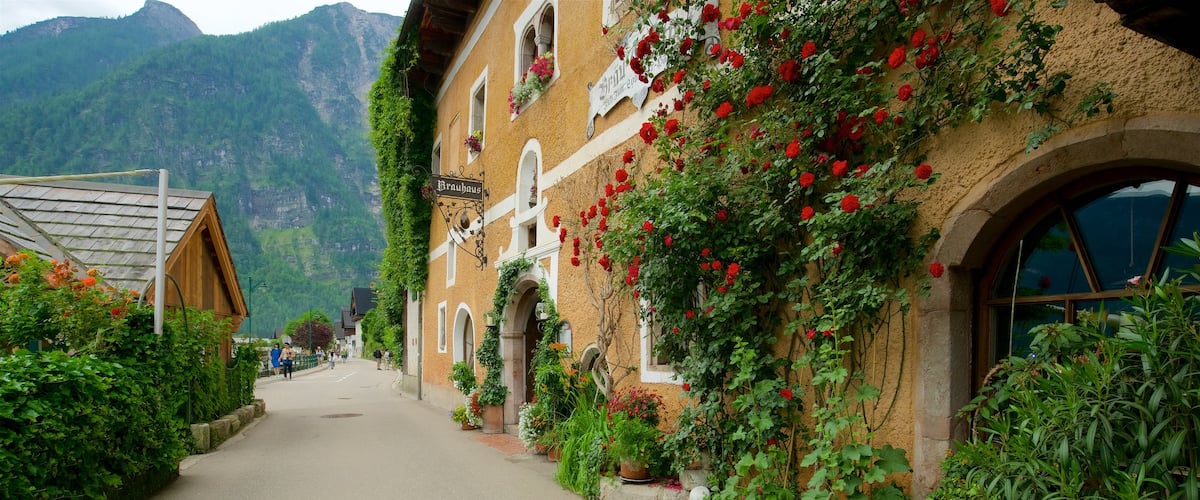 Hallstatt mettant en vedette fleurs sauvages