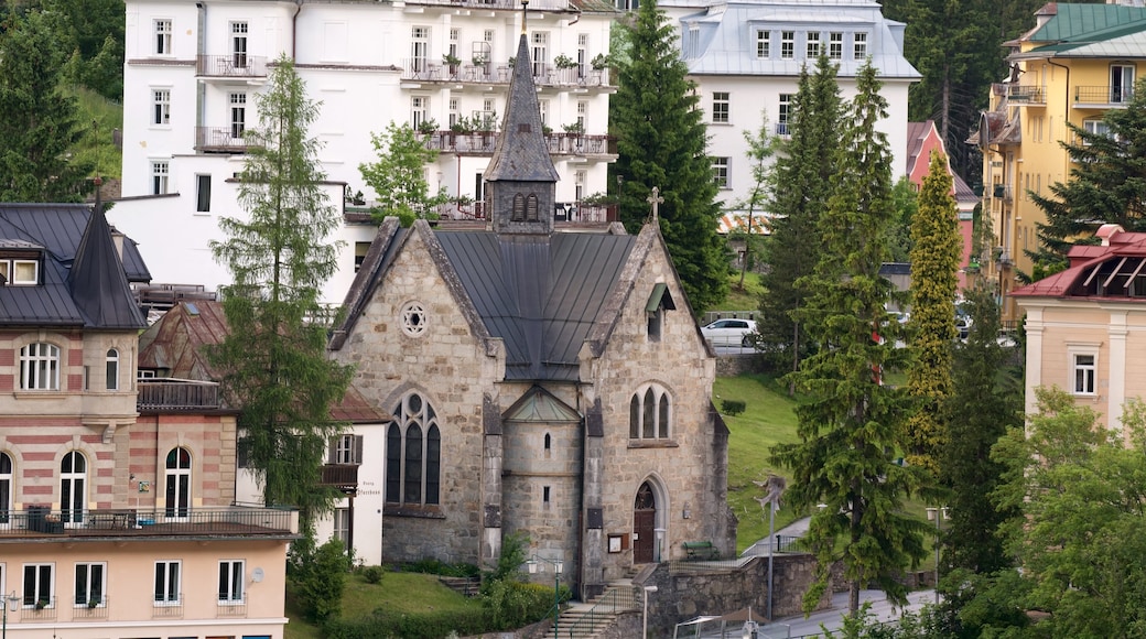 Salzburgo que incluye elementos del patrimonio y una iglesia o catedral